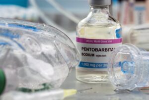 Pentobarbital nembutal sodique